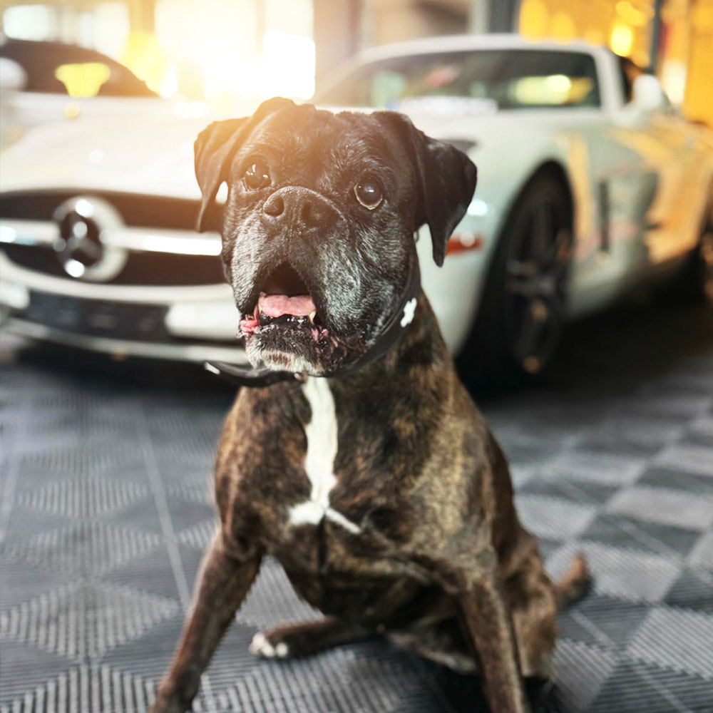 Autowerkstatt Sottrum Team